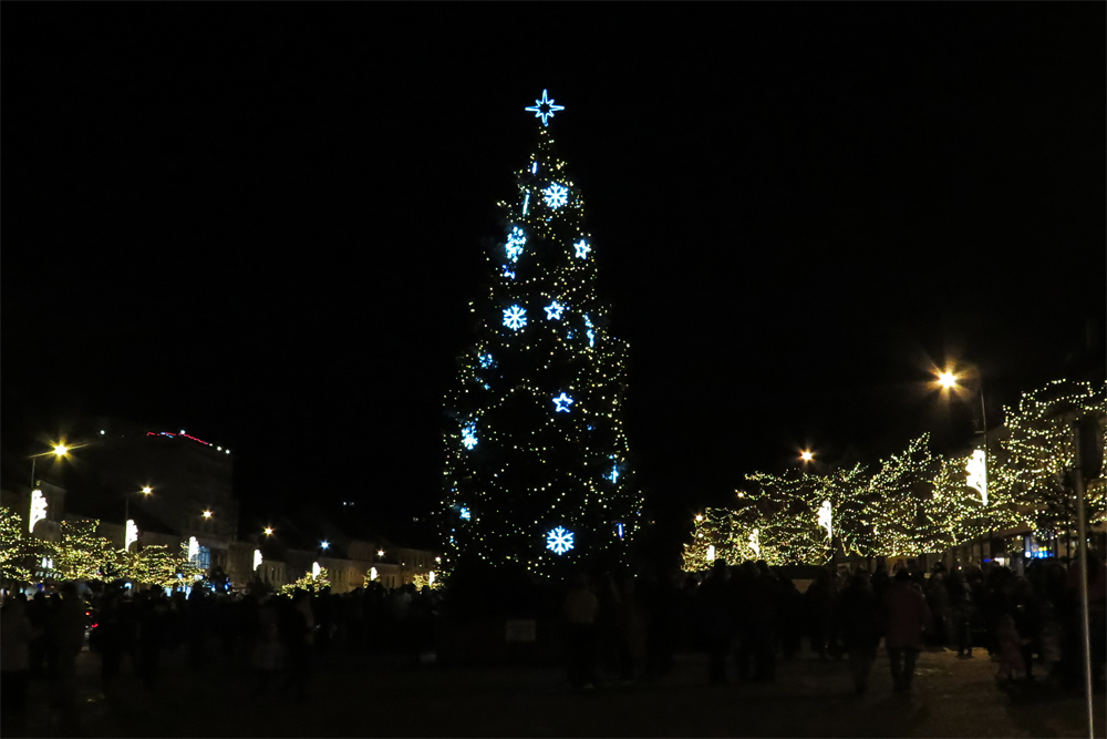 Vánoční strom na Karlově náměstí v Třebíči.