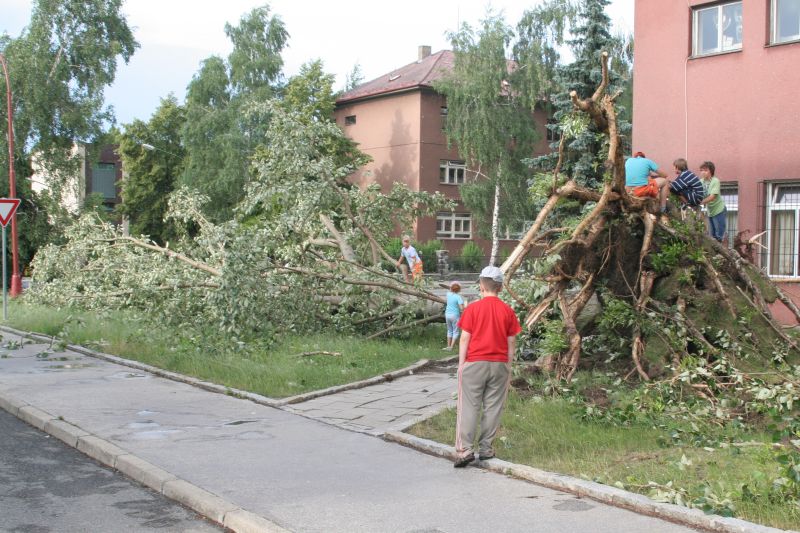 Archivní snímek z roku 2007, kdy se Třebíčskem přehnal také velmi silný vítr, který mimo jiné vyvrátil tento strom na Demlově ulici. Než byl odklizen, využily jej místní děti jako netradiční prolézačku.