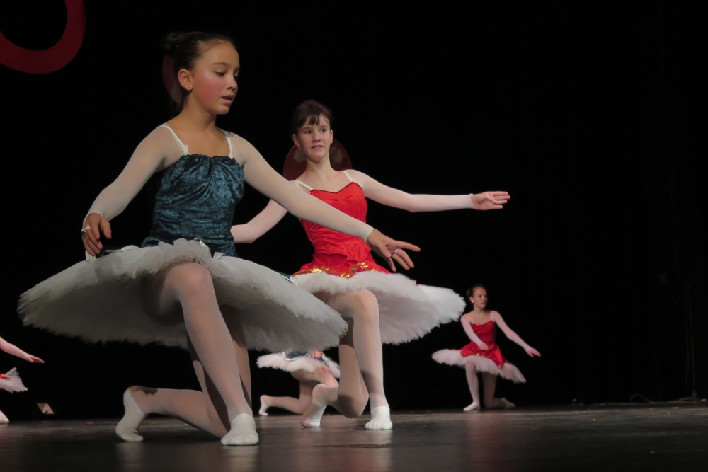 Škola vyučuje nejen hru na hudební nástroje, ale třeba i balet.